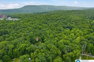 360 Babbling Brook Rd, Pocono Twp, PA 18355 - Photo 44