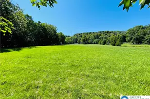 439 Butternut Rd, Newfoundland, PA 18445 - Photo 32