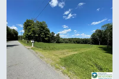 439 Butternut Road, Newfoundland, PA 18445 - Photo 38
