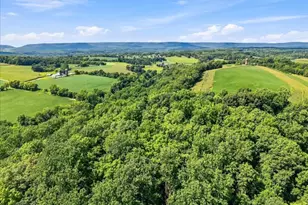 1168 Mt Pleasant Rd, Washington Twp, PA 18013 - Photo 16