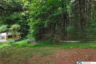 996 Greenwood St, Franklin Twp, PA 18071 - Photo 10