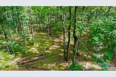 Yana Lane, Penn Forrest, PA 18210 - Photo 4