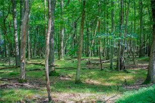 Yana Ln, Penn Forrest, PA 18210 - Photo 1
