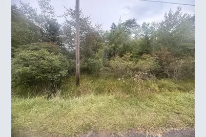 Lazarus Circle, Penn Forrest, PA 18210 - Photo 6