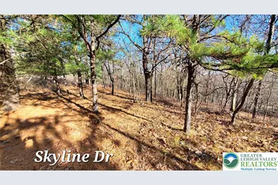 140 Skyline Drive, Bushkill, PA 18324 - Photo 4