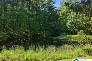 1408 Fox Gap Rd, Upper Mt Bethel Twp, PA 18013 - Photo 34