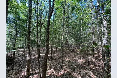 511 N Shore Drive & Linden Drive, Penn Forrest, PA 18210 - Photo 1