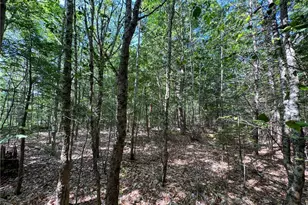 511 N Shore Dr & Linden Dr, Penn Forrest, PA 18210 - Photo 1