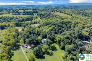 384 Henry Rd, Bushkill Twp, PA 18064 - Photo 6