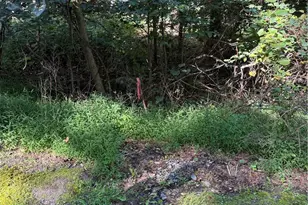 3240 Woodland Dr, Ross Twp, PA 18353 - Photo 16