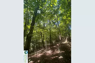 T 508 Lots #15 and #16 Road, East Stroudsburg, PA 18302 - Photo 6