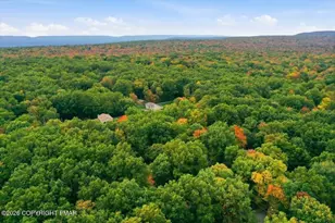 118 Buckhill Rd, Penn Forrest, PA 18210 - Photo 60