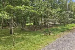 38 Payallup Trail, Penn Forrest, PA 18210 - Photo 74