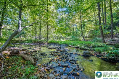 3479 Mango Drive, Lehigh Township, PA 18038 - Photo 60