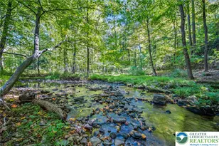 3479 Mango Dr, Lehigh Township, PA 18038 - Photo 60