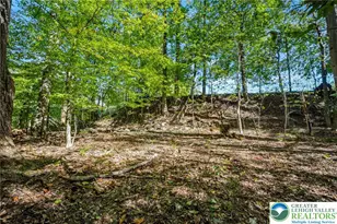 3479 Mango Dr, Lehigh Township, PA 18038 - Photo 54
