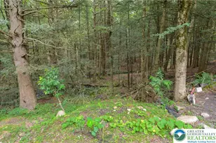 120 Spring Run Rd, Pocono Lake, PA 18347 - Photo 24