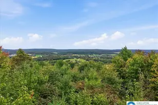 822 Semmels Hill Rd, Mahoning Twp, PA 18235 - Photo 66