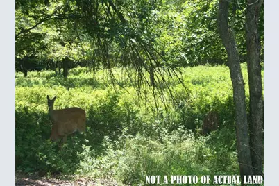 Shawnee Trail, Penn Forrest, PA 18210 - Photo 1