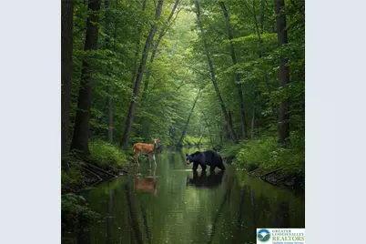 5014 Holiday Drive #52, Coolbaugh Twp, PA 18346 - Photo 1