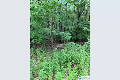 Faber Circle #40,41,42,43, Pocono Twp, PA 18372 - Photo 1