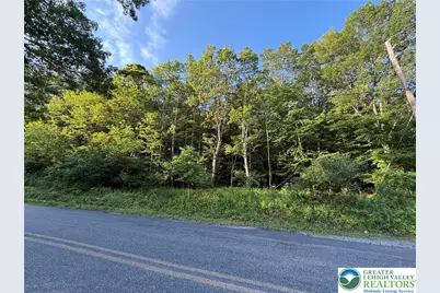 Indian Hill Road, Franklin Twp, PA 18235 - Photo 1