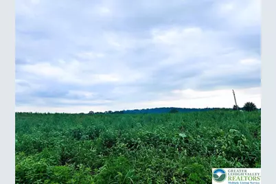 144 Wisser Road, Greenwich Twp, PA 19534 - Photo 1