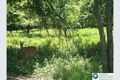 908 Shawnee Trail, Penn Forrest, PA 18210 - Photo 1