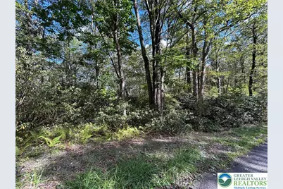 Lot A12 Rhododendron Road, Penn Forrest, PA 18229 - Photo 1