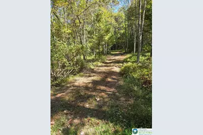 123 Stone Mountain Road, East Penn Twp, PA 18235 - Photo 1