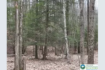 153 Pine Tree Drive, Paradise Twp, PA 18326 - Photo 1