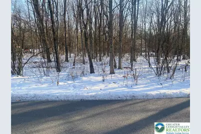 Jeans Drive, Penn Forrest, PA 18229 - Photo 1