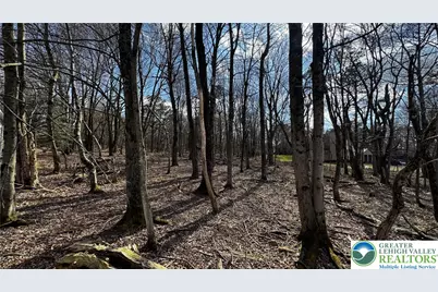 1010 Stony Mountain Road, Penn Forrest, PA 18210 - Photo 1