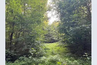 0 Norton Road, Radnor, OH 43066 - Photo 18