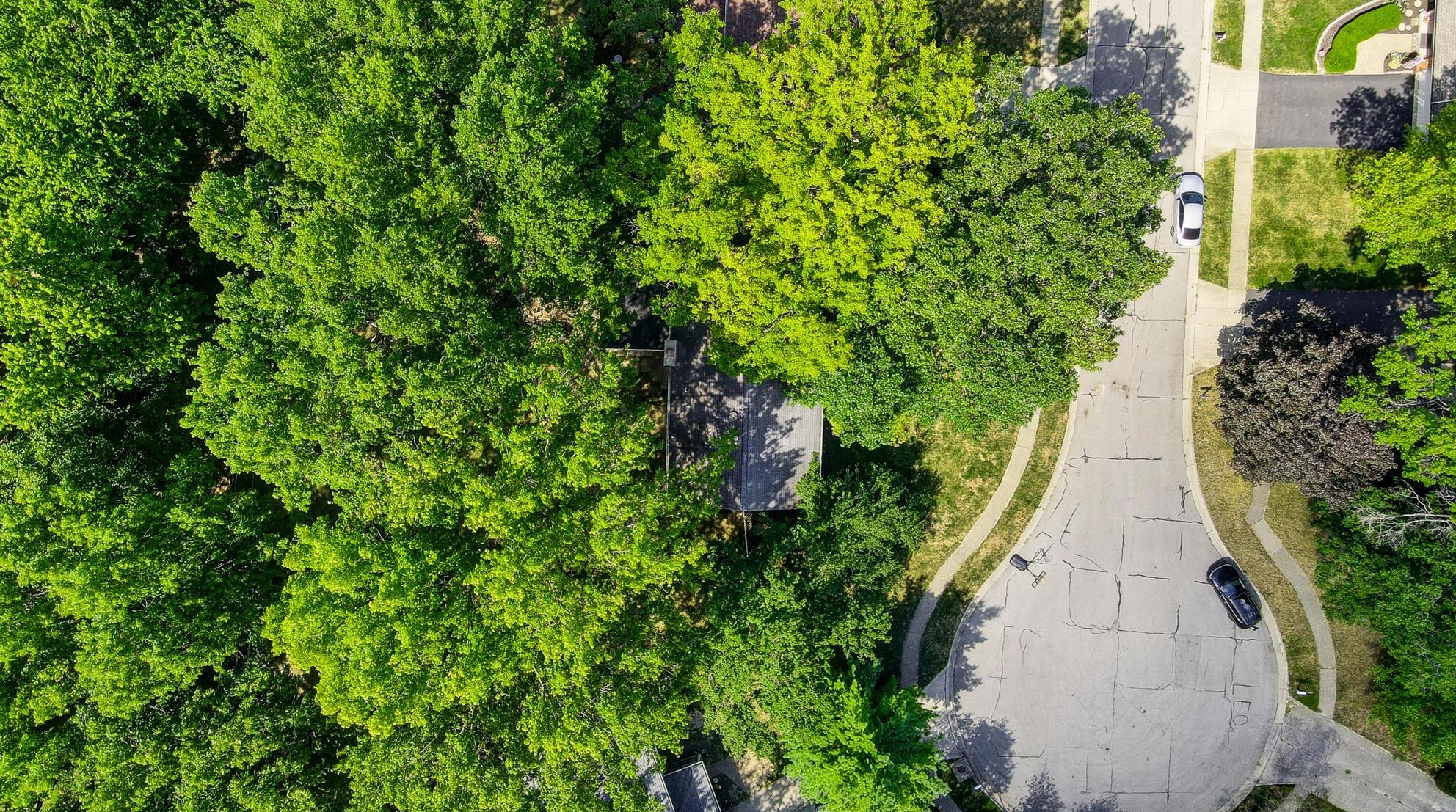 6961 Village Woods Pl, Sharon Township, OH 43085