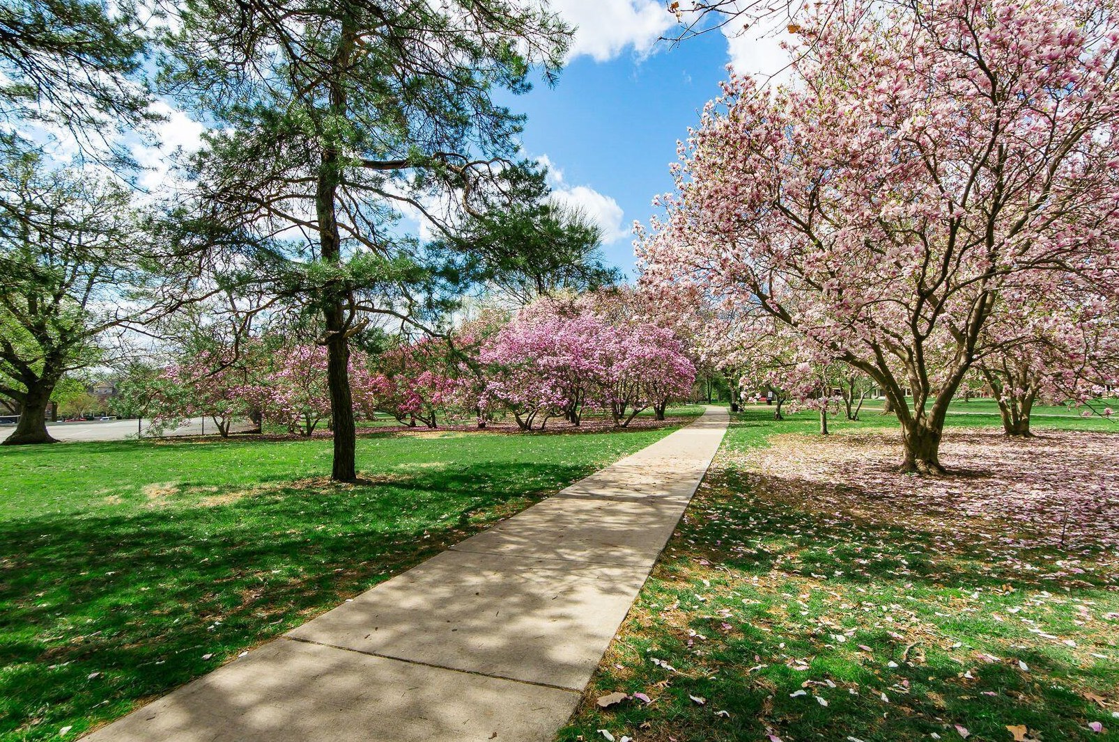 178 1st Ave, Columbus OH 43201-3490 exterior