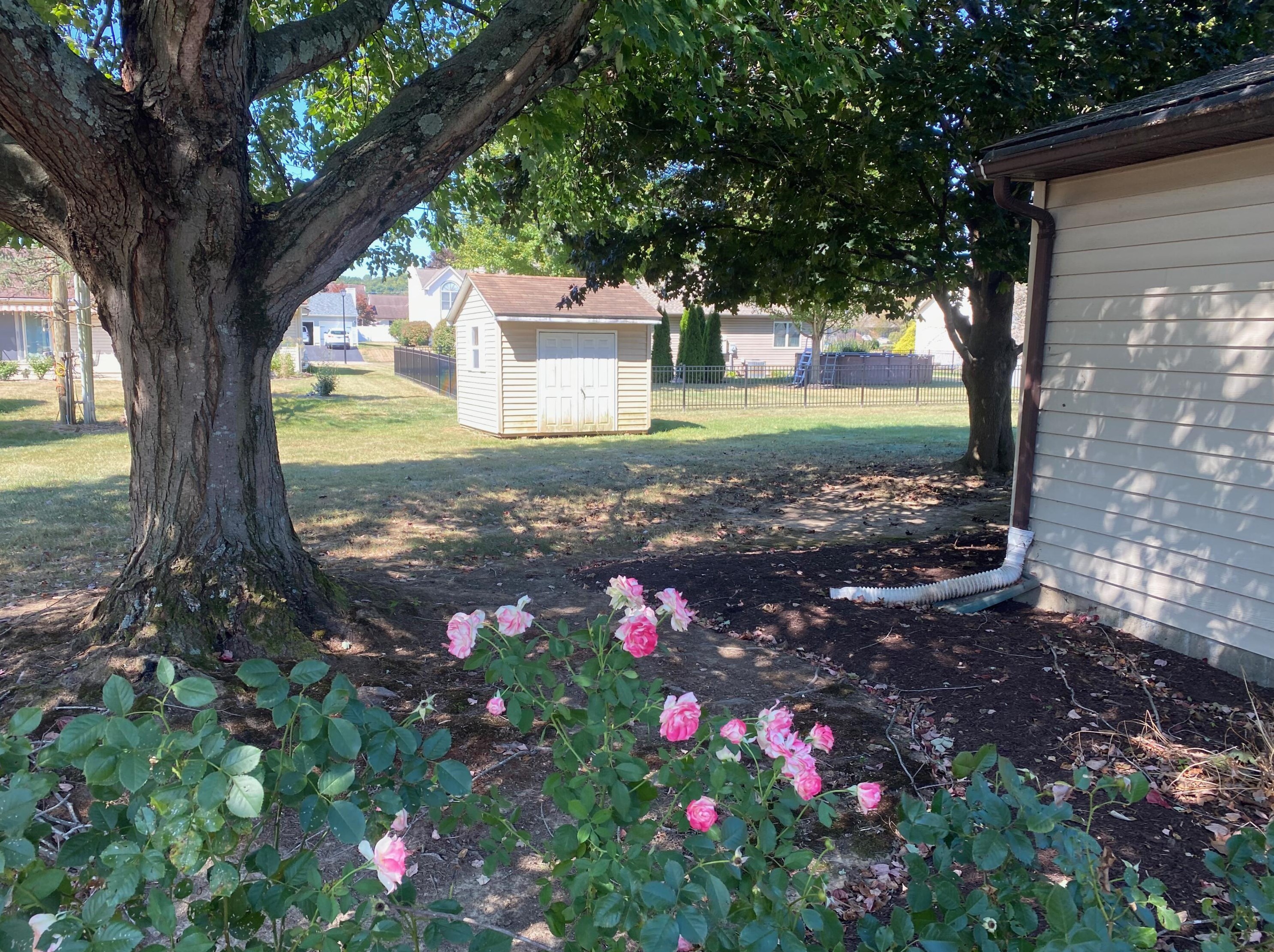 1575 Constitution Dr, Newark, OH 43055-3182