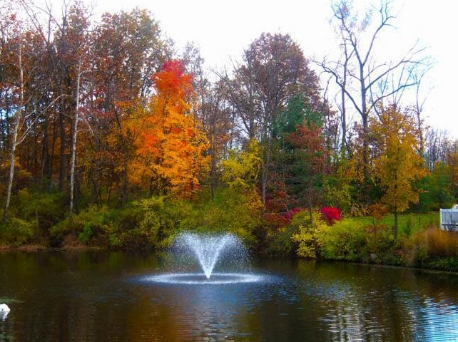 1187 Sanctuary Pl, Columbus OH 43230-8491 exterior