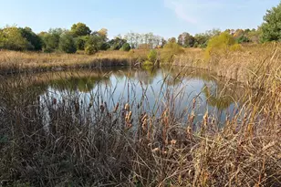 Lot 5 Mockingbird Ln, Granville, OH 43023 - Photo 22