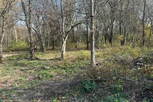Lot 5 Mockingbird Ln, Granville, OH 43023 - Photo 6