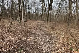 0 Van Winkle Rd, Frazeysburg, OH 43822 - Photo 4