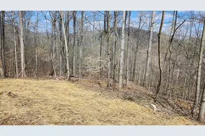 0 Pike Lake Rd Road #(Tract 2 Pike Lake Getaway), Bainbridge, OH 45612 - Photo 46