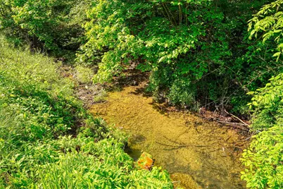 31740 Huston Road, Logan, OH 43138 - Photo 74