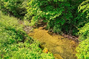 31740 Huston Rd, Logan, OH 43138 - Photo 74