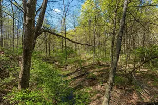 4930 E Walnut St, Westerville, OH 43081 - Photo 124