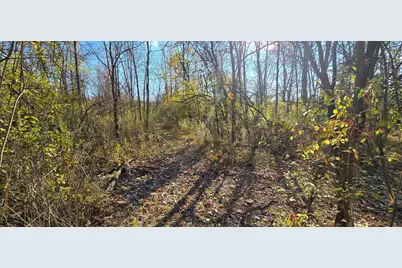 3480 Ostrander Road, Ostrander, OH 43061 - Photo 58