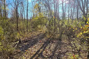 3480 Ostrander Rd, Ostrander, OH 43061 - Photo 58