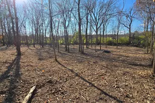 3480 Ostrander Rd, Ostrander, OH 43061 - Photo 54