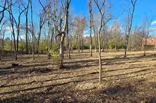 3480 Ostrander Rd, Ostrander, OH 43061 - Photo 56