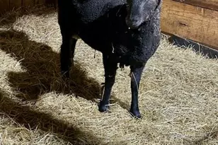 6810 Barrett Rd, Geneva, OH 44041 - Photo 76